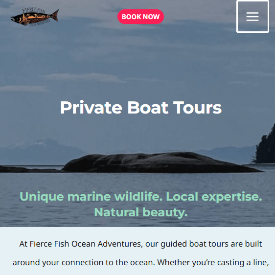 Fierce Fish Ocean Adventures Private Boat Tours page showing an ocean view with an island.