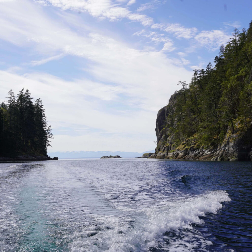 View from the back of a boat during a guided ocean tour, showing waves from the motor and rugged coastal cliffs near Quadra Island & Campbell River.