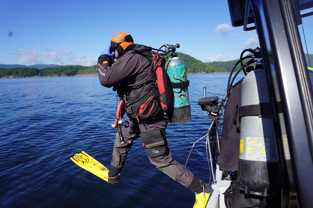 scuba diving campbell river tour guest jumping off the boat into ocean