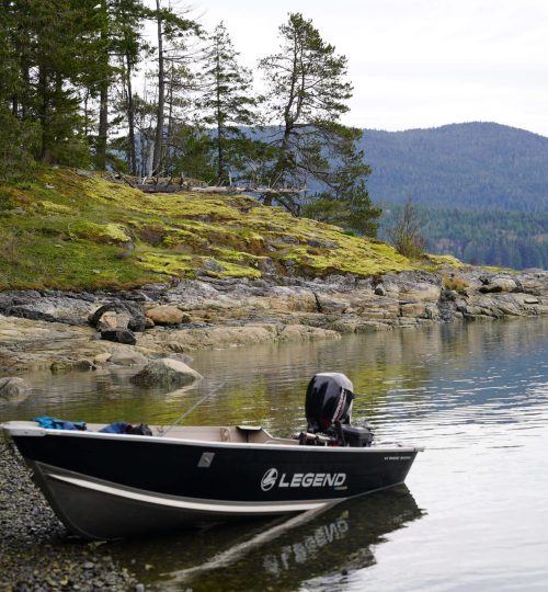 A boat beached on the shore during a private guided ocean tour, with vibrant BC coastline colors and ocean stretching in the distance.