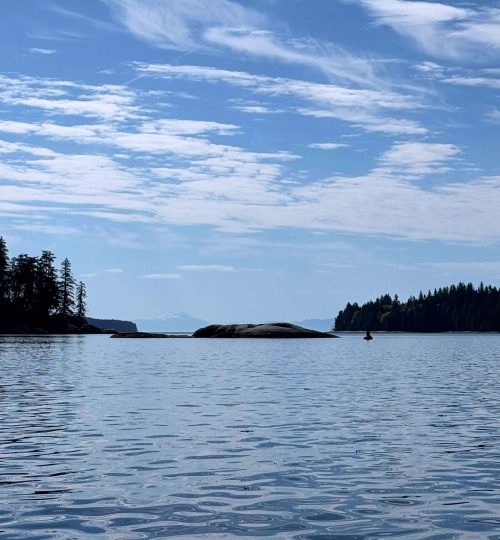 Scenic view from a guided ocean tour showing cedar trees lining the coastline with a striking rock formation emerging from the water.