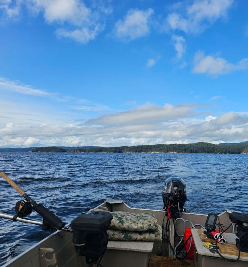View from the back of the boat during a guided fishing charter tour, with two rods cast into the ocean and the coastline in the distance.