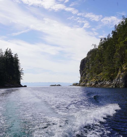 View from the back of a boat during a guided ocean tour, showing waves from the motor and rugged coastal cliffs near Quadra Island & Campbell River.